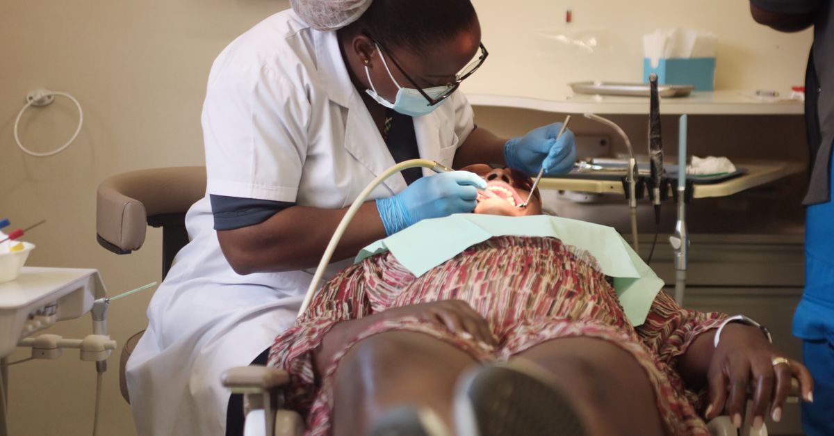 Dentist reviewing a patient chart in an Ottawa practice